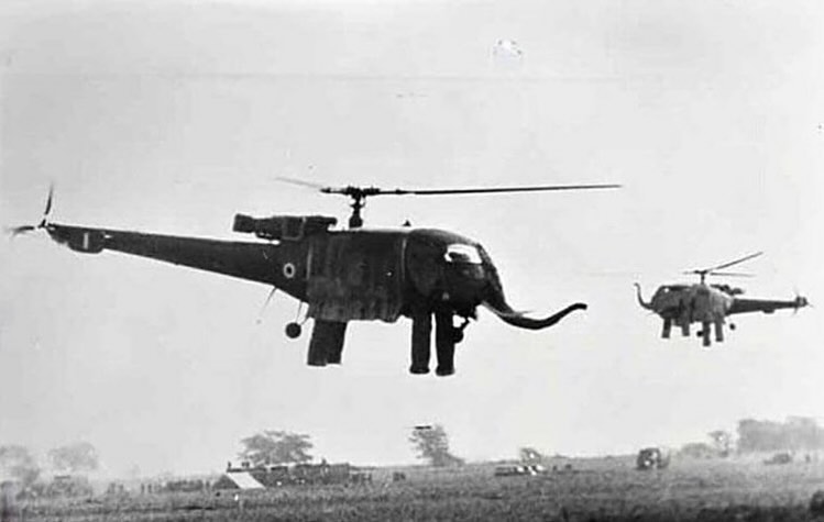 Foto arkib bersejarah helikopter HAL Chetak berkostum gajah Skuadron 116 terbang di udara