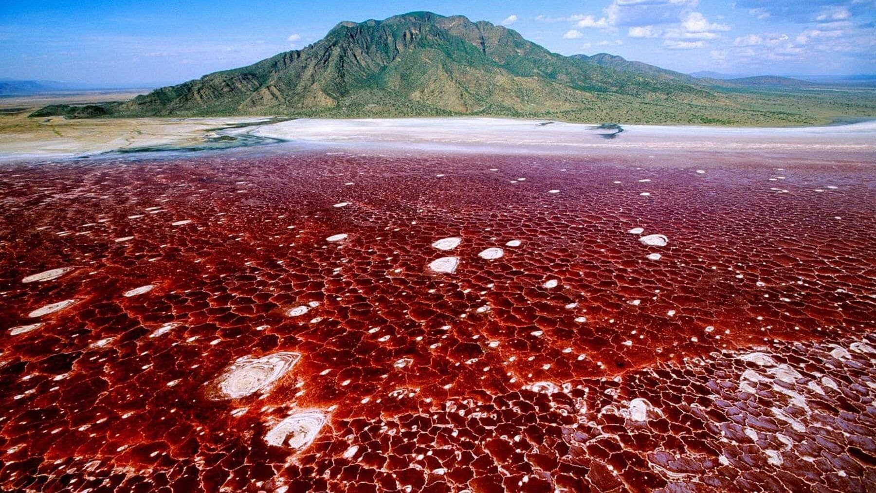 Pemandangan udara Lake Natron berkerak merah dengan latar belakang gunung berapi