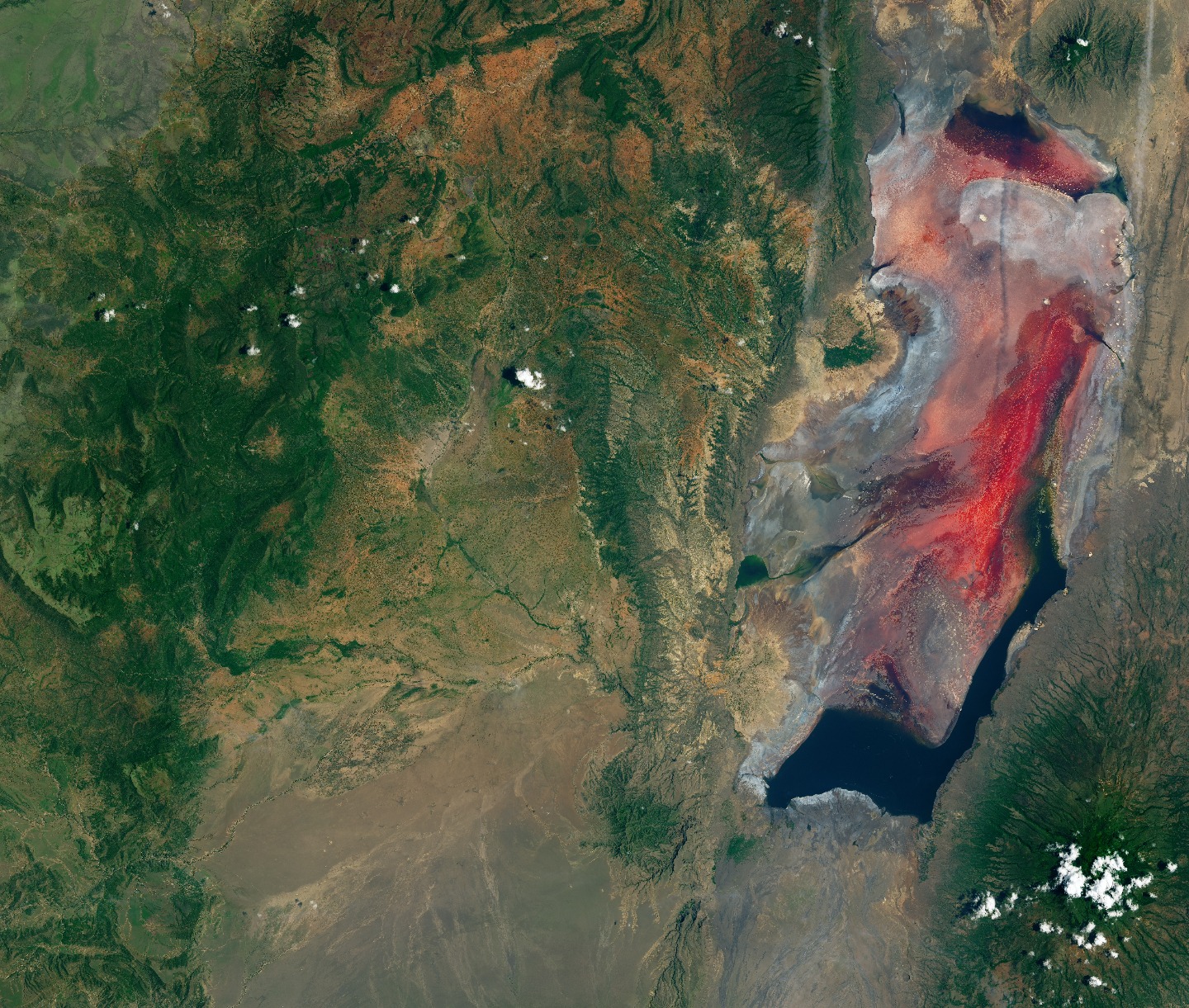 Imej satelit NASA memaparkan tompokan merah darah di perairan Lake Natron