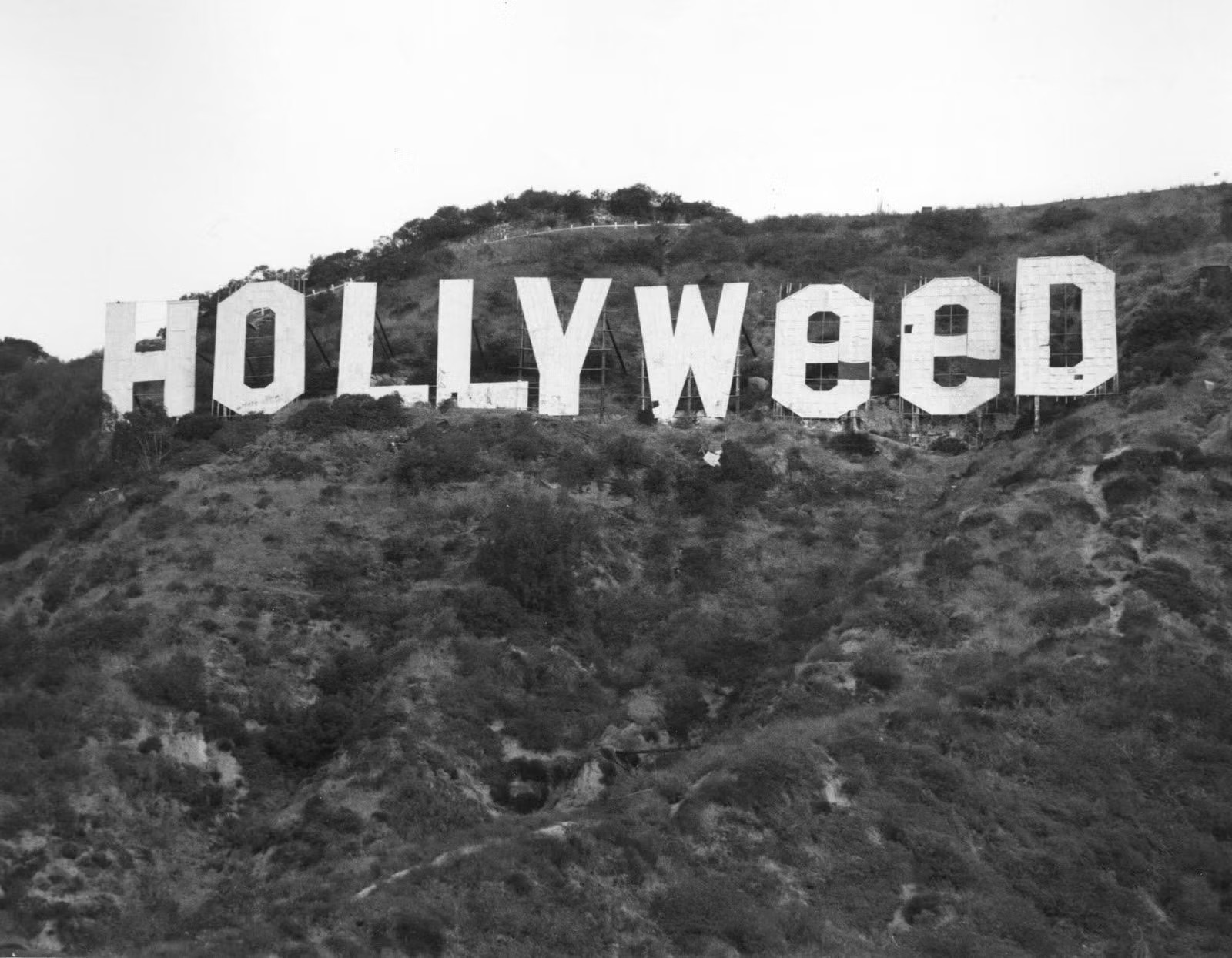 Pemandangan landskap banjaran Santa Monica dan papan tanda Hollywood