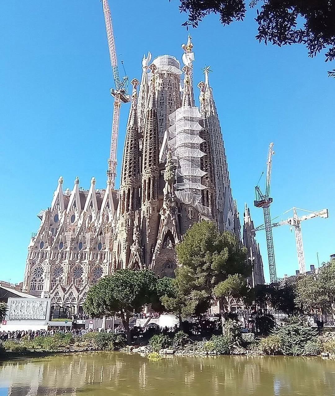 Ruang dalaman tiang bersilang seperti kanopi pokok hutan Sagrada Família